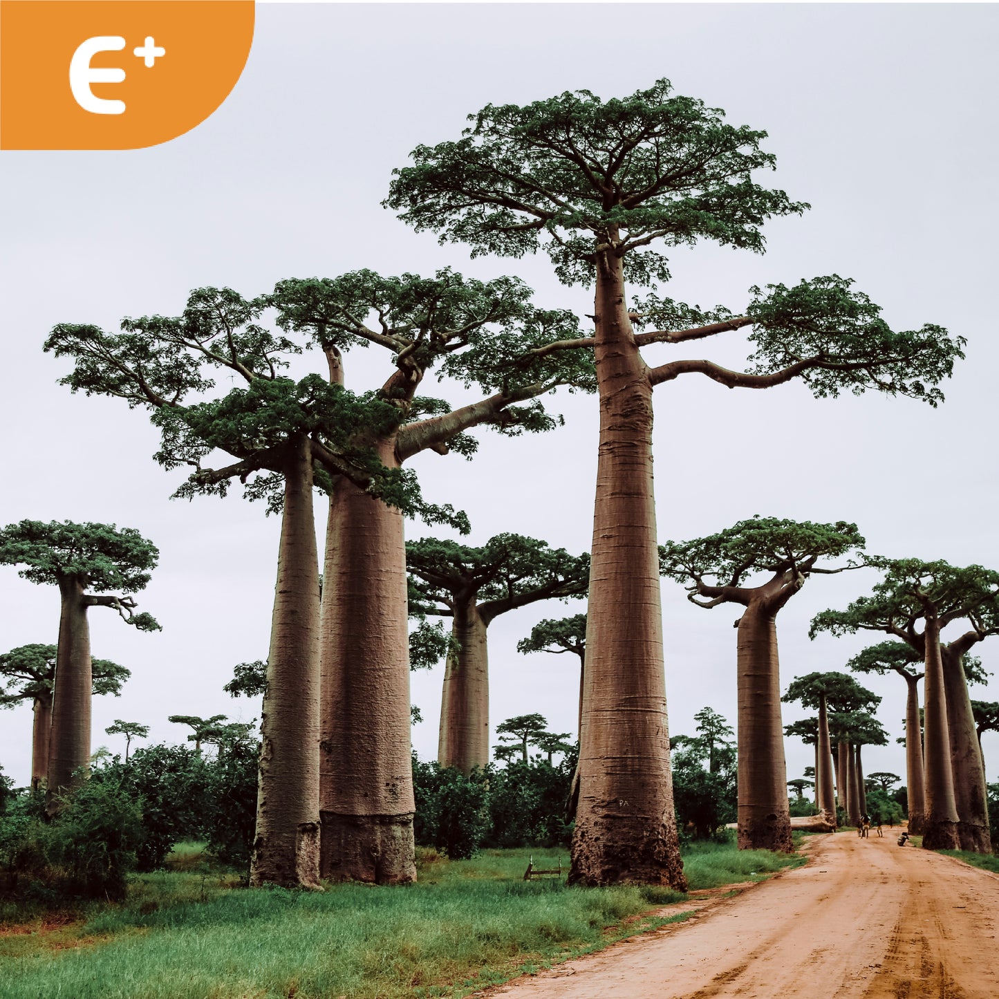 Africa 19 Counties | eSIM QR Code