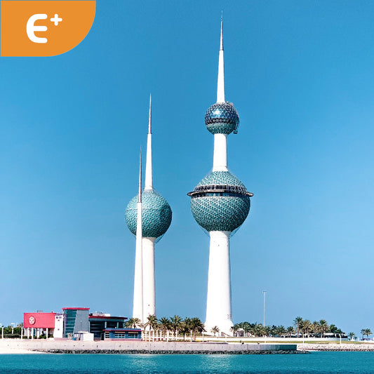 E-Asia – TSim Tech