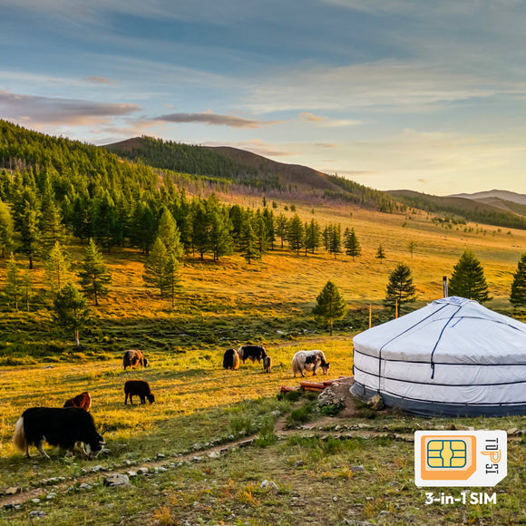 Israel/Mongolia Travel Data SIM Card