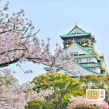 Carte SIM de données de voyage Japan Docomo (IIJ)
