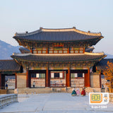 Korea-Reisedaten-SIM-Karte